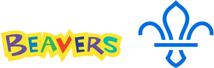 1st Wellesbourne Beavers
