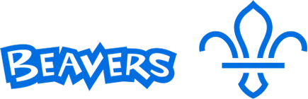 1st Wellesbourne Beavers